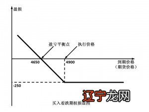 期权代码_etf50期权代码_期权的合约代码