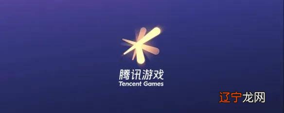 tgp是什么_wegame是什么是tgp吗_tgp多少级是金牌网吧