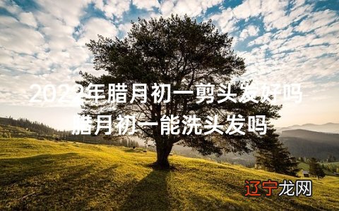 2022年腊月初一剪头发好吗 腊月初一能洗头发吗