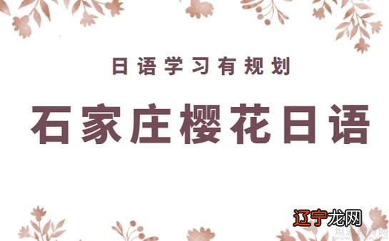 石家庄樱花日语培训学校收费标准