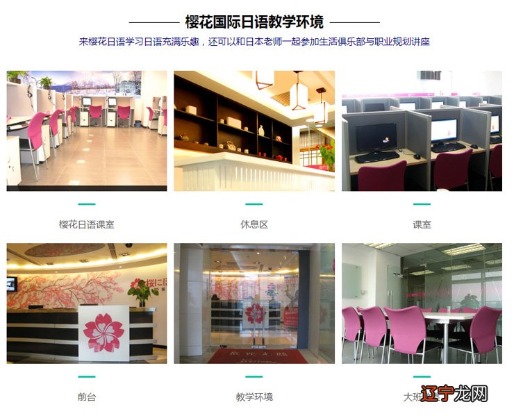 石家庄樱花日语培训学校收费标准