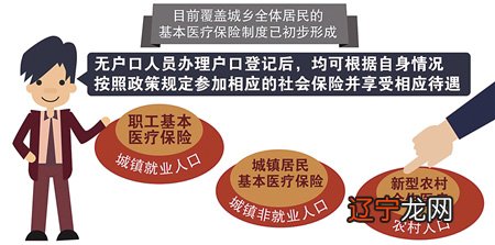 澳洲黑户口回国和澳洲pr结婚还可以返澳洲吗_黑甲山户口大队_黑户口