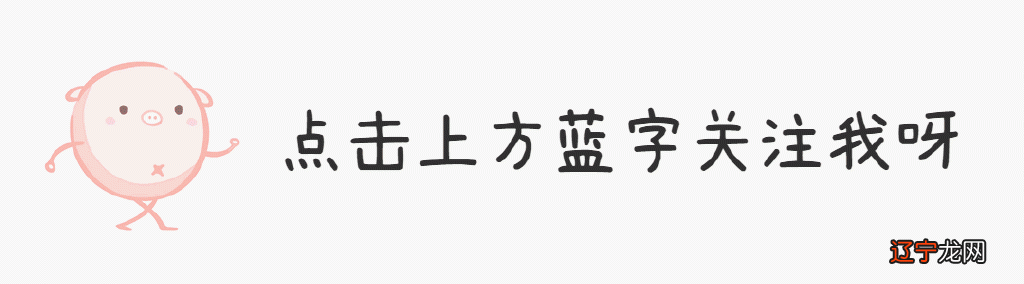 顶楼里的大象张紫研无删减版本_顶楼里的大象百度影音_顶楼