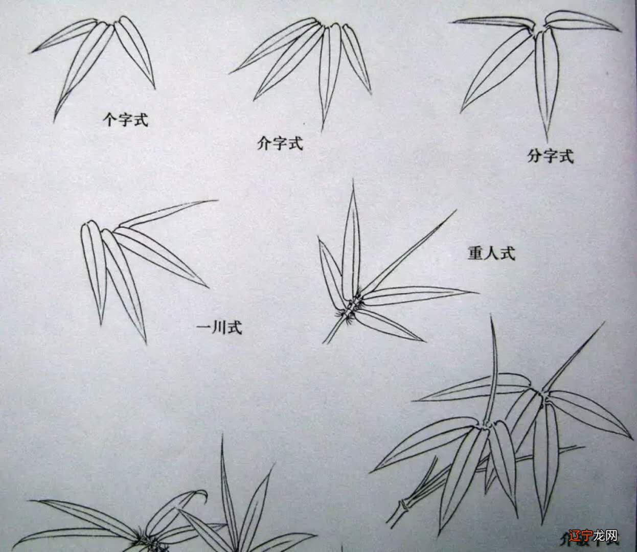 菊花形状_菊花欣赏 菊花图片大全_描写菊花形状优美句子