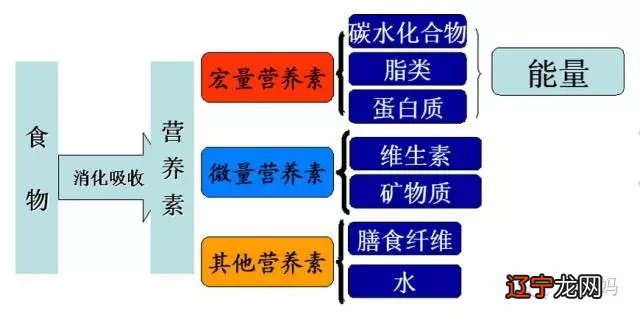 碳水化合物的生理功能_物化合物生考试的区别_物联网网络层功能