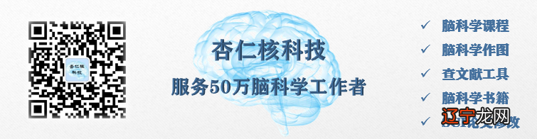 燃烧脂肪靶点被发现_脂肪燃烧时间_脂肪燃烧膏