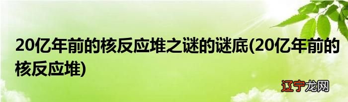 20亿年前的核反应堆_医疗 卫生系统 人民的好儿女赵前堆观后感_为什么反应后结合能大于反应前