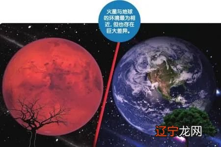 地球有多长的寿命_地球寿命最长的生物_地球的寿命