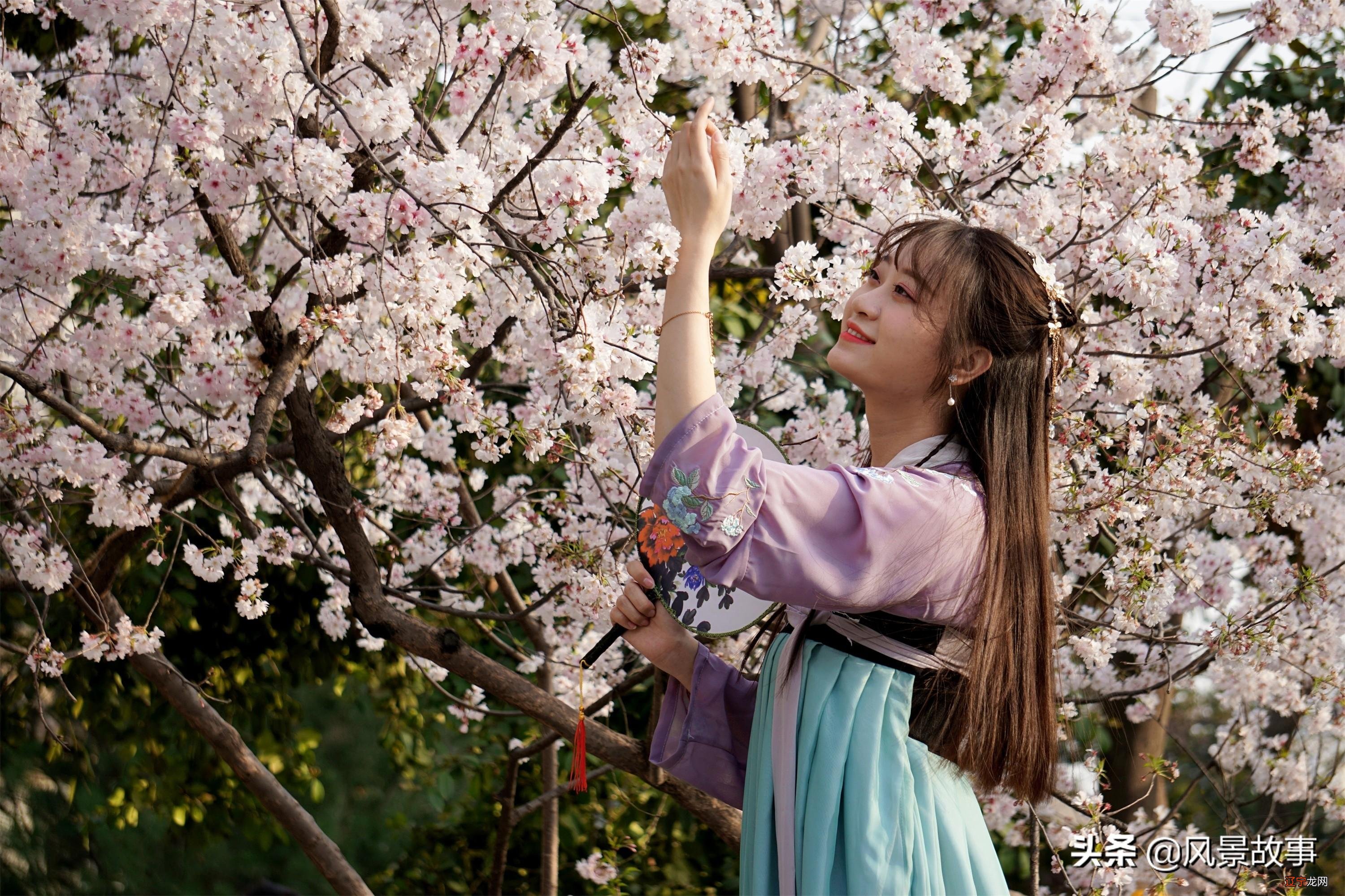 西安最美赏花景点地位高，是日本人的圣寺，清明小长假打卡别错过