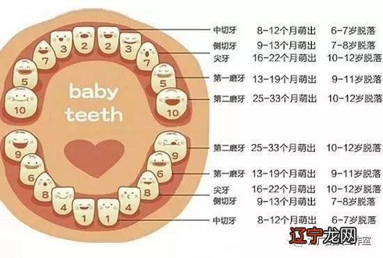 儿童换牙怎么办有哪些？家长与孩子么都需要注意的事项